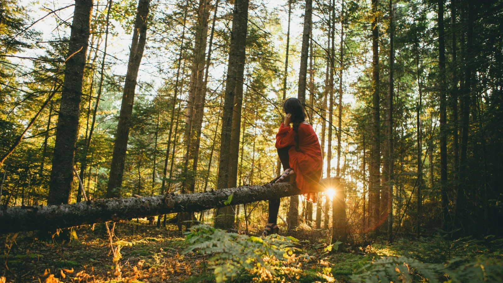 woman on a log in a forest